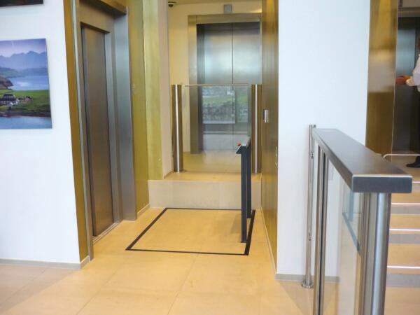 LP50 Platform lift